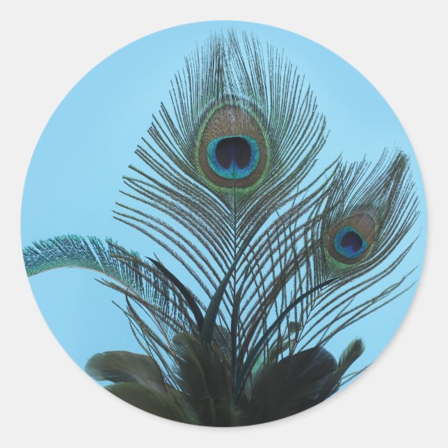 Eleganter Pfauensticker (türkis) Runder Aufkleber (Vorderseite)