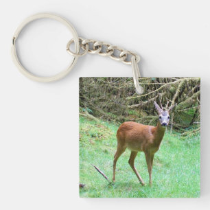 Eleganter Rehbock Wald Wildtiere Natur Schlüsselanhänger