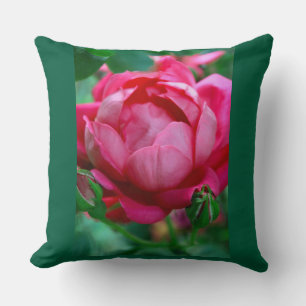 Eleganter rosa Rosen-Blumen-Wurfkissen mit dunklem Kissen
