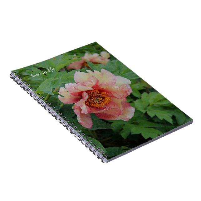 Eleganter Rosa Ton Peony Notizblock (Rechte Seite)