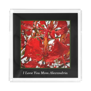 Eleganter Roter Hibiskus Blumenmuster-Blume Acryl Tablett