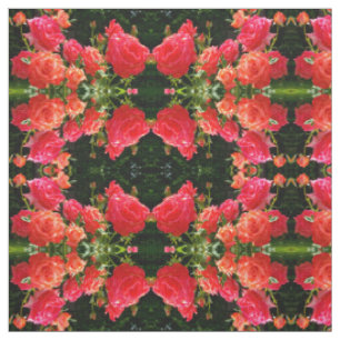 Eleganter roter orangefarbener Korallenrosen-Rosen Stoff