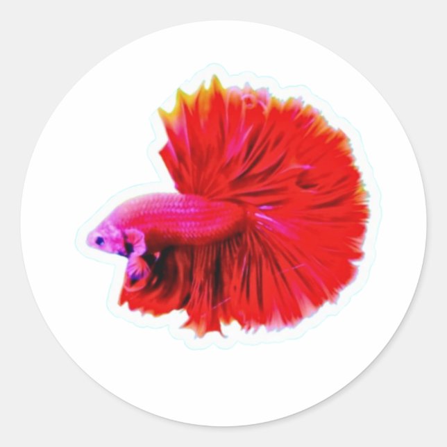 Eleganter Roter Rose Tail Betta Sticker - Luxuriös (Vorderseite)
