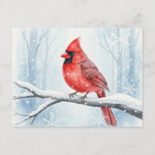 Eleganter Rotkardinal-Aquarell Winter-Schnee Postkarte