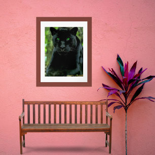 Eleganter Schwarzpanther-Katze mit grünen Augen Po Poster