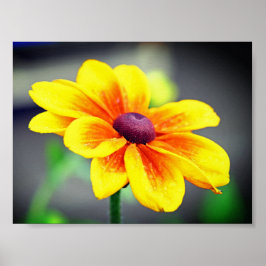 Eleganter Single Gelbes OrangeDahlia Blume Poster