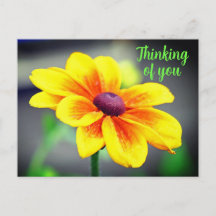 Eleganter Single GelbOrange Blume Denken Sie an Si