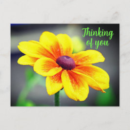 Eleganter Single GelbOrange Blume Denken Sie an Si Postkarte
