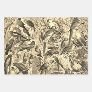 Eleganter Vintager Beige tropischer Birds Parrots Geschenkpapier Set