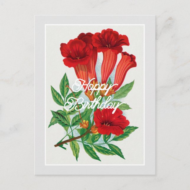 Eleganter Vintager Bignonia Blume Happy Birthday Postkarte (Vorderseite)