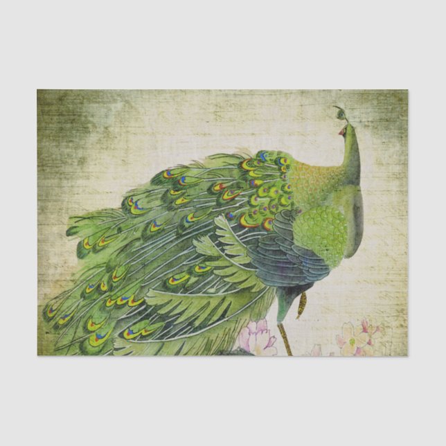 Eleganter Vintager grüner Pfau Seidenpapier (Vorderseite)