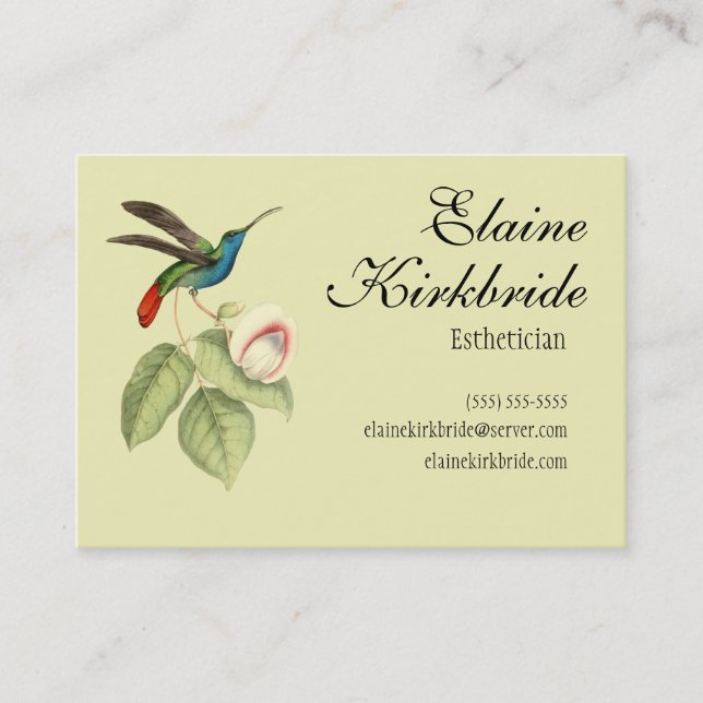 Eleganter Vintager Hummingbird Salon Ernennung Terminkarte (Vorderseite)