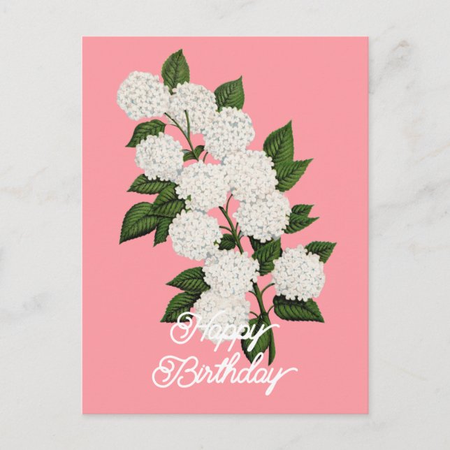 Eleganter Vintager japanischer Snowball Happy Birt Postkarte (Vorderseite)