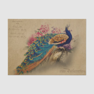 Eleganter Vintager Pfau Seidenpapier