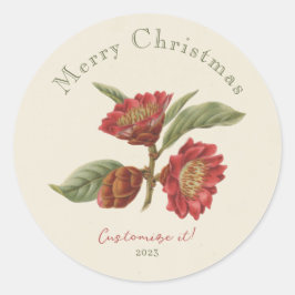 Eleganter Weihnachtsaufkleber in Rot und Grün Runder Aufkleber