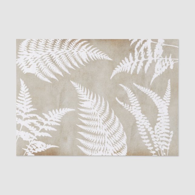 Eleganter Weißbucher zum Kraftpapier Seidenpapier (Vorderseite)
