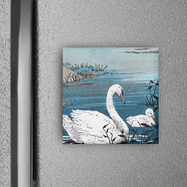 Eleganter weißer Schwan mit Baby Magnet (elegant white swan swimming in blue lake with baby swan on square magnet.)