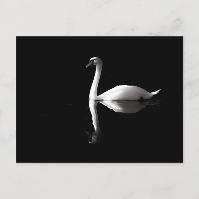 Eleganter weißer Schwan Reflektion am Schwarzen Se Postkarte (Vorderseite)