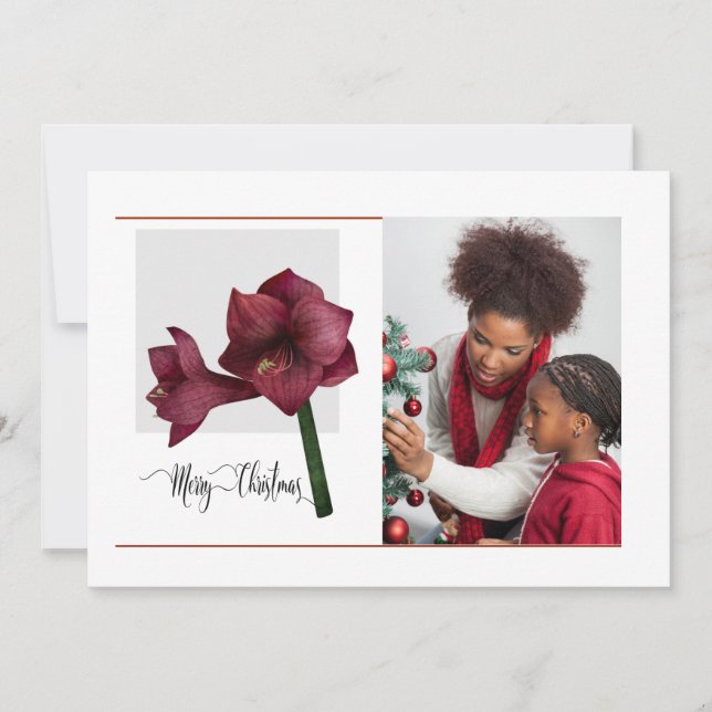 Elegantes 1 Foto mit Amaryllis Blume, Weihnachten (Vorderseite)