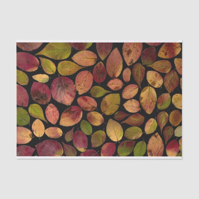 Elegantes Ahorn-Blätter Herbstmuster Seidenpapier (Vorderseite)