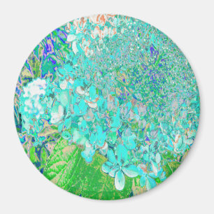 Elegantes Aqua und grünes Limelight Hydrangea Deta Magnet