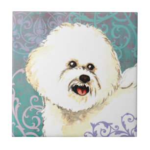 Elegantes Bichon Frise Fliese