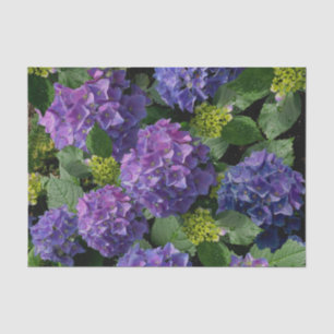 Elegantes blaues lila Magenta grünes Hydrangea Seidenpapier