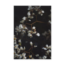 Elegantes Blumenfoto und benutzerdefinierter Name