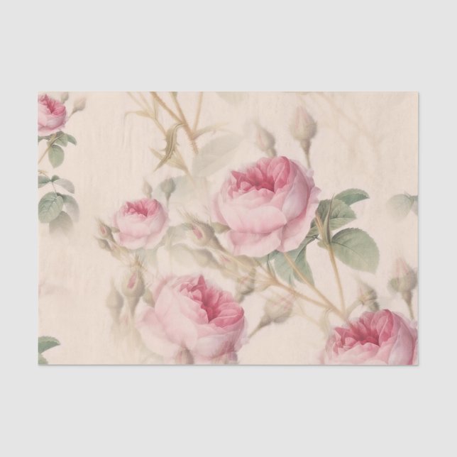 Elegantes Blumenmuster von rosa Rosen Seidenpapier (Vorderseite)