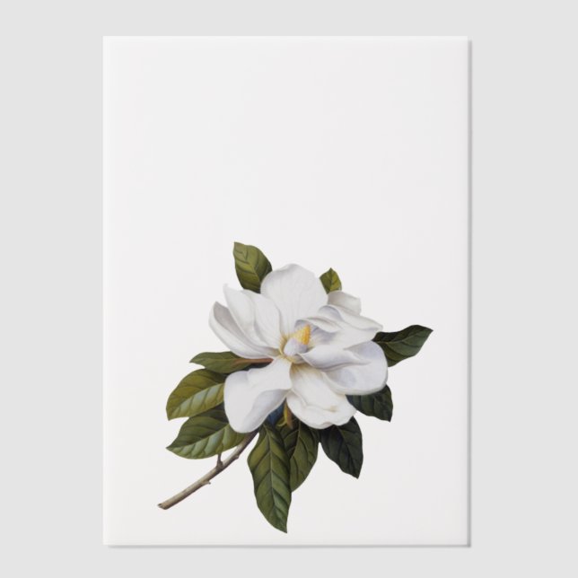 Elegantes Botanisches Magnoliendeckblatt (Vorderseite)