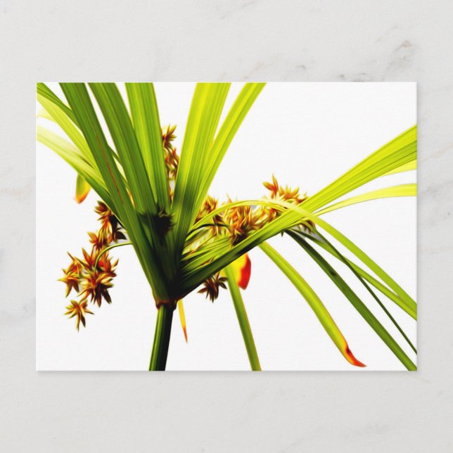Elegantes botanisches Muster Postkarte (Vorderseite)