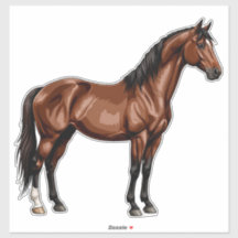 Elegantes braunes Pferd