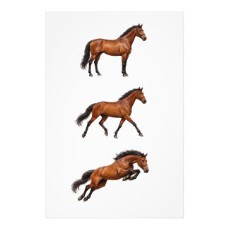 Elegantes braunes Pferd Wandkunstposter Fotodruck