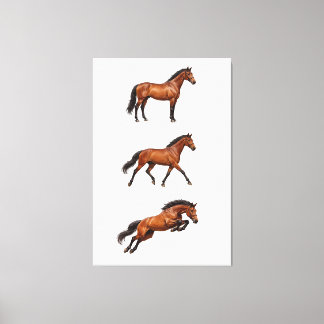 Elegantes Braunpferd Wandkunst Poster Leinwanddruck