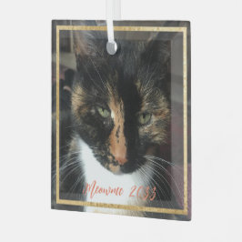 Elegantes Cat Foto Custom Gold Trim Glass Ornament