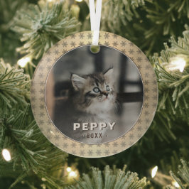 Elegantes Cat Foto Golden Snowboards Ornament Aus Glas