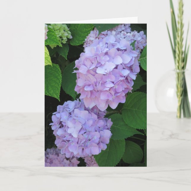 Elegantes Chic Lila Hydrangeas Foto Beileid Karte (Vorderseite)