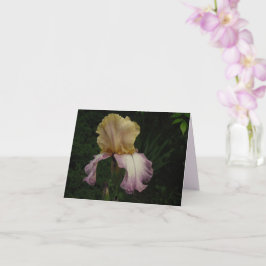 Elegantes Cream Lila Iris Floral Foto Karte