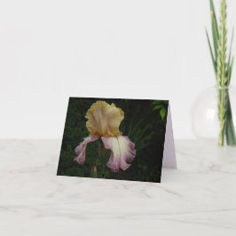 Elegantes Cream Lila Iris Floral Foto Karte