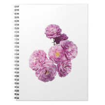 Elegantes Design-Notebook für Rose