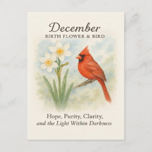 Elegantes Dezember-Schrift-Christen-Kardinal  Postkarte