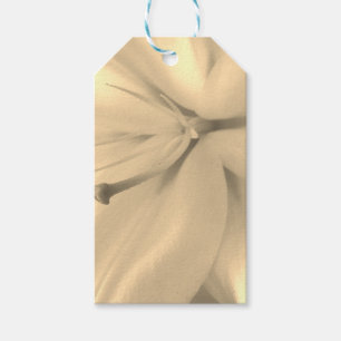Elegantes, einfarbiges Foto Geschenkanhänger