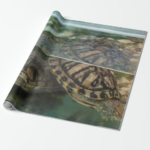 Elegantes Erdschildkrötenpapier Geschenkpapier