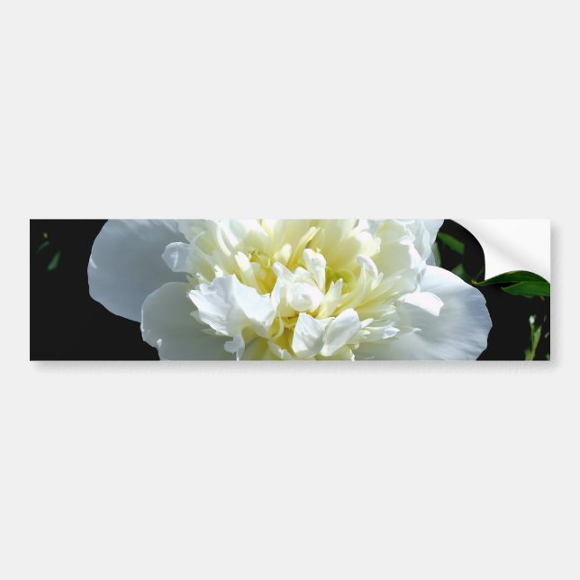 Elegantes Foto aus weißer Blume mit Blumen Autoaufkleber (Vorne)