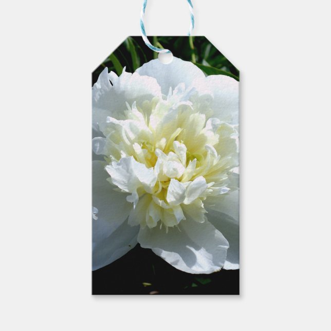 Elegantes Foto aus weißer Blume mit Blumen Geschenkanhänger (Vorderseite)