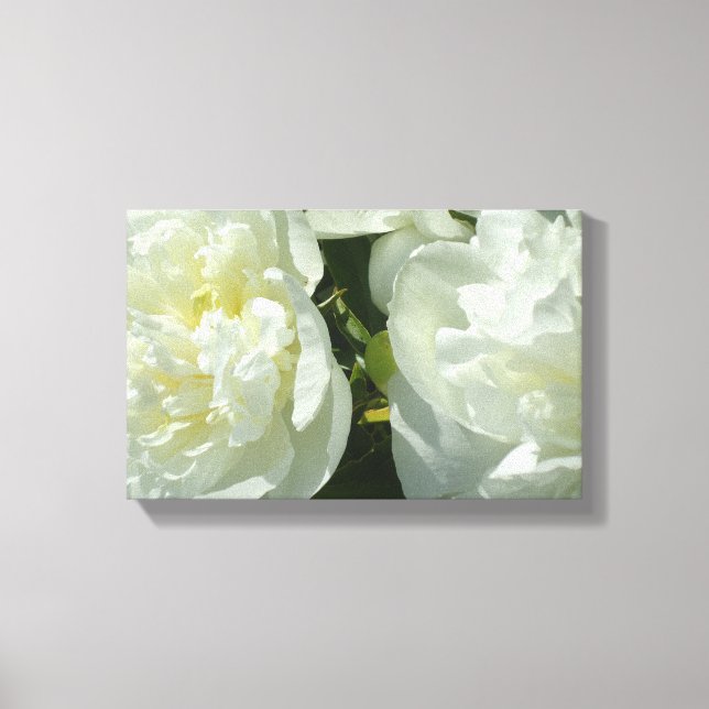 Elegantes Foto aus weißer Blume mit Blumen Leinwanddruck (Vorderseite)