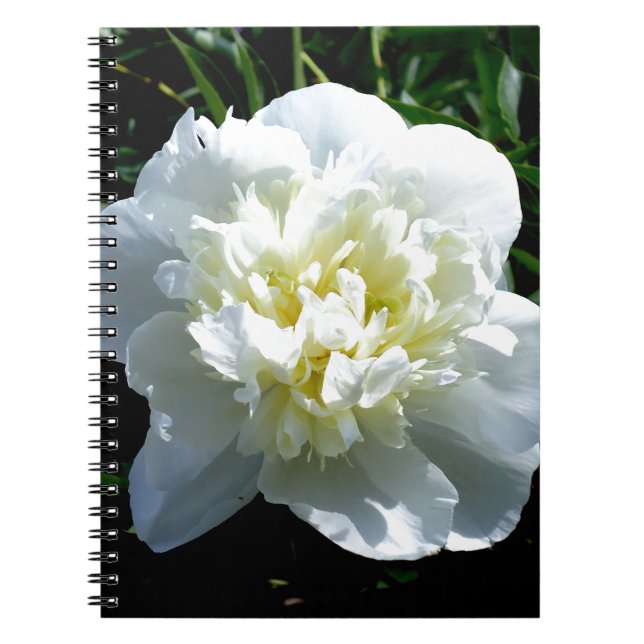 Elegantes Foto aus weißer Blume mit Blumen Notizblock (Vorderseite)