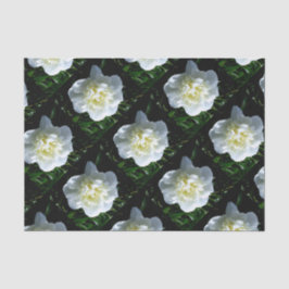 Elegantes Foto aus weißer Blume mit Blumen Seidenpapier