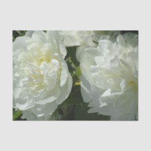 Elegantes Foto aus weißer Blume mit Blumen Seidenpapier