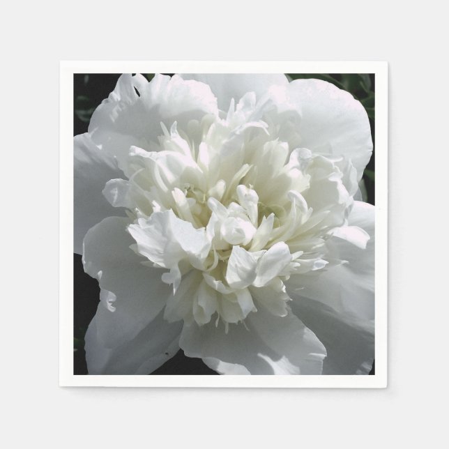 Elegantes Foto aus weißer Blume mit Blumen Serviette (Vorderseite)